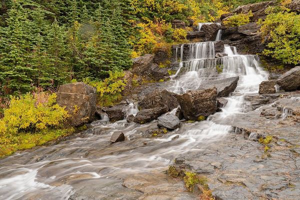 Jaynes Gallery 아티스트의 USA-Montana-Glacier National Park Lunch Creek cascades scenic작품입니다.